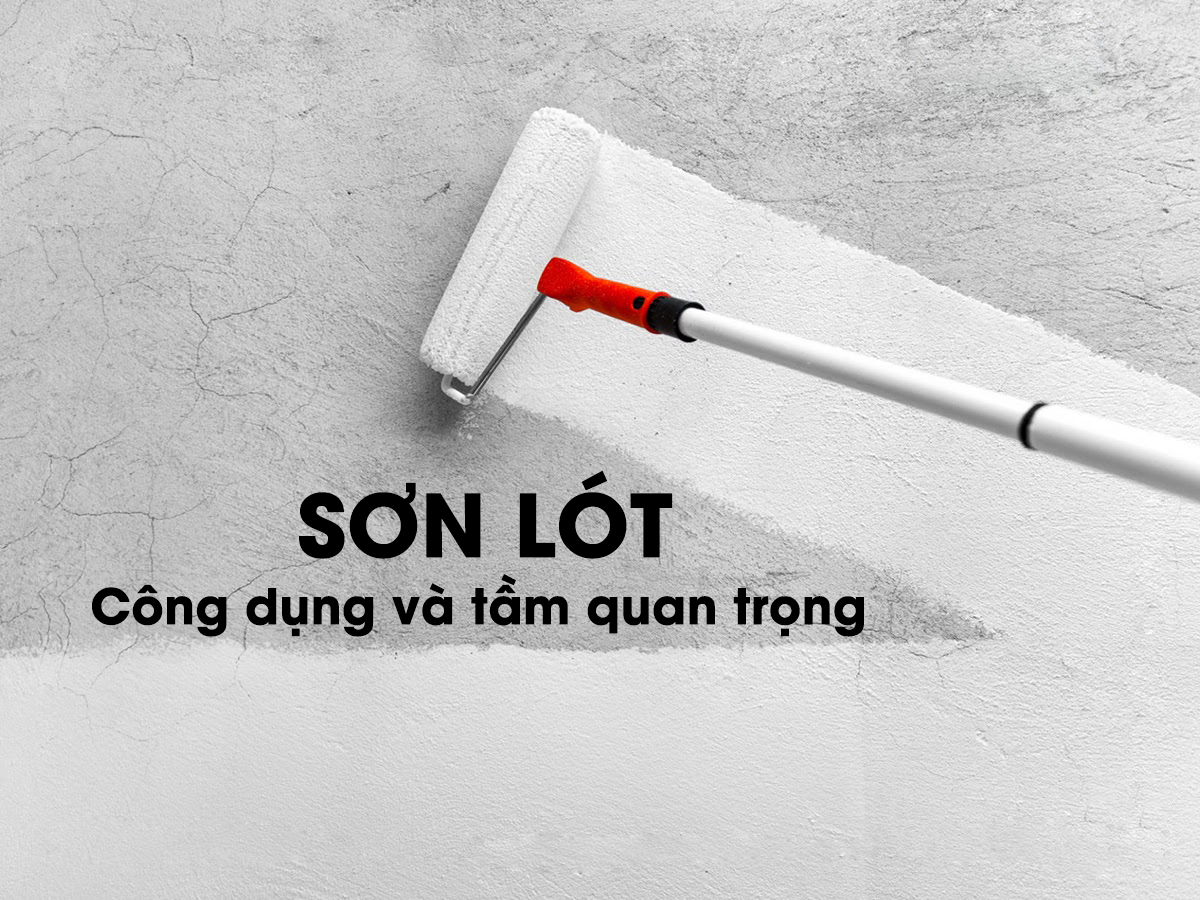 SƠN LÓT - CÔNG DỤNG VÀ TẦM QUAN TRỌNG 